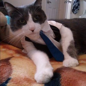 Meet your Posher, Tracy